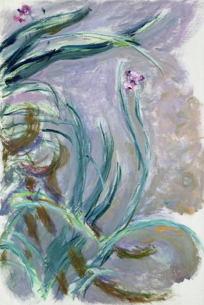 Iris, 1924-25 de Claude Monet